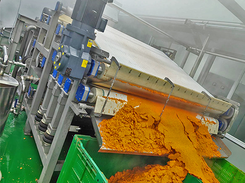 带式果蔬压榨机-济南胡萝卜压榨